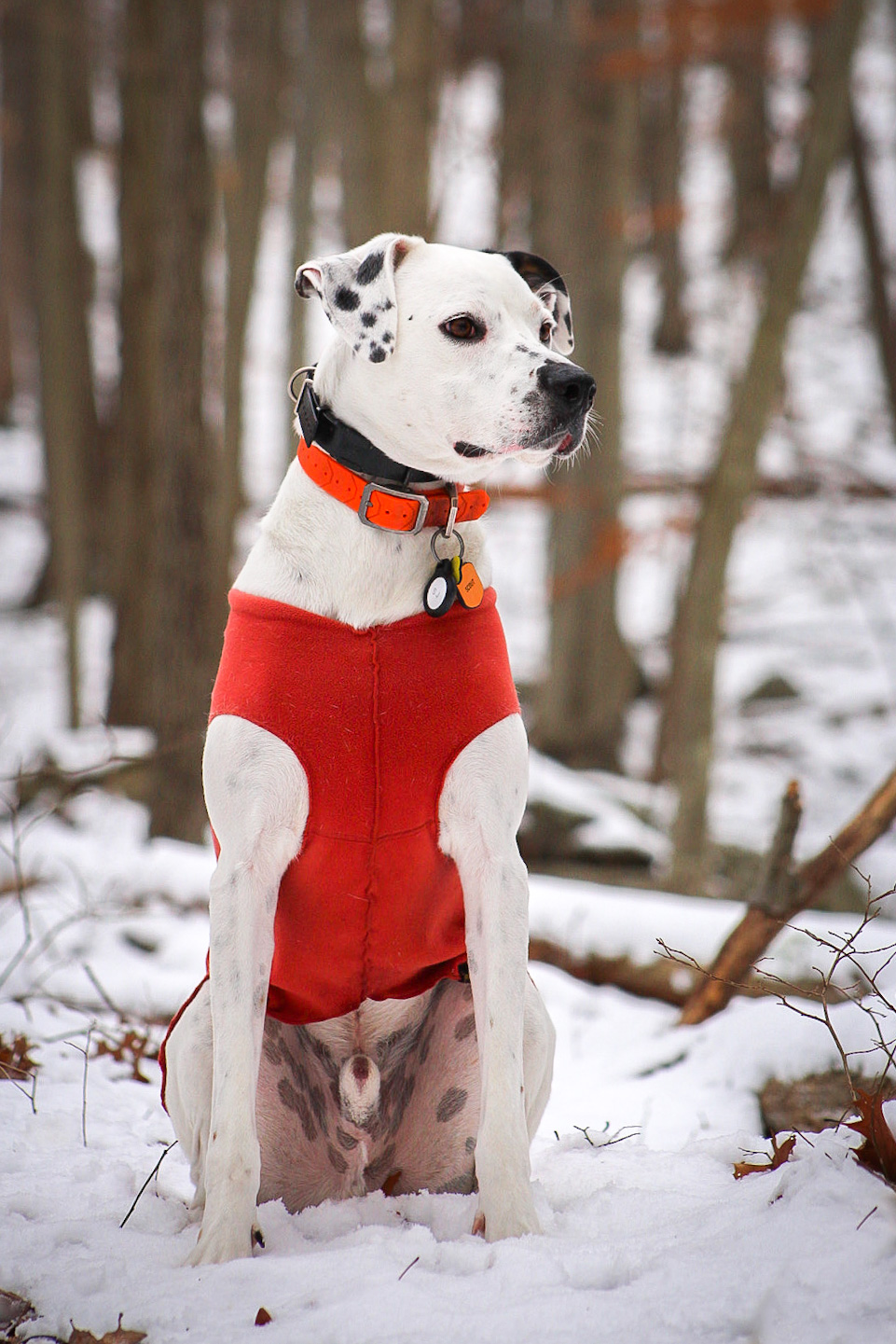 Winter adventure