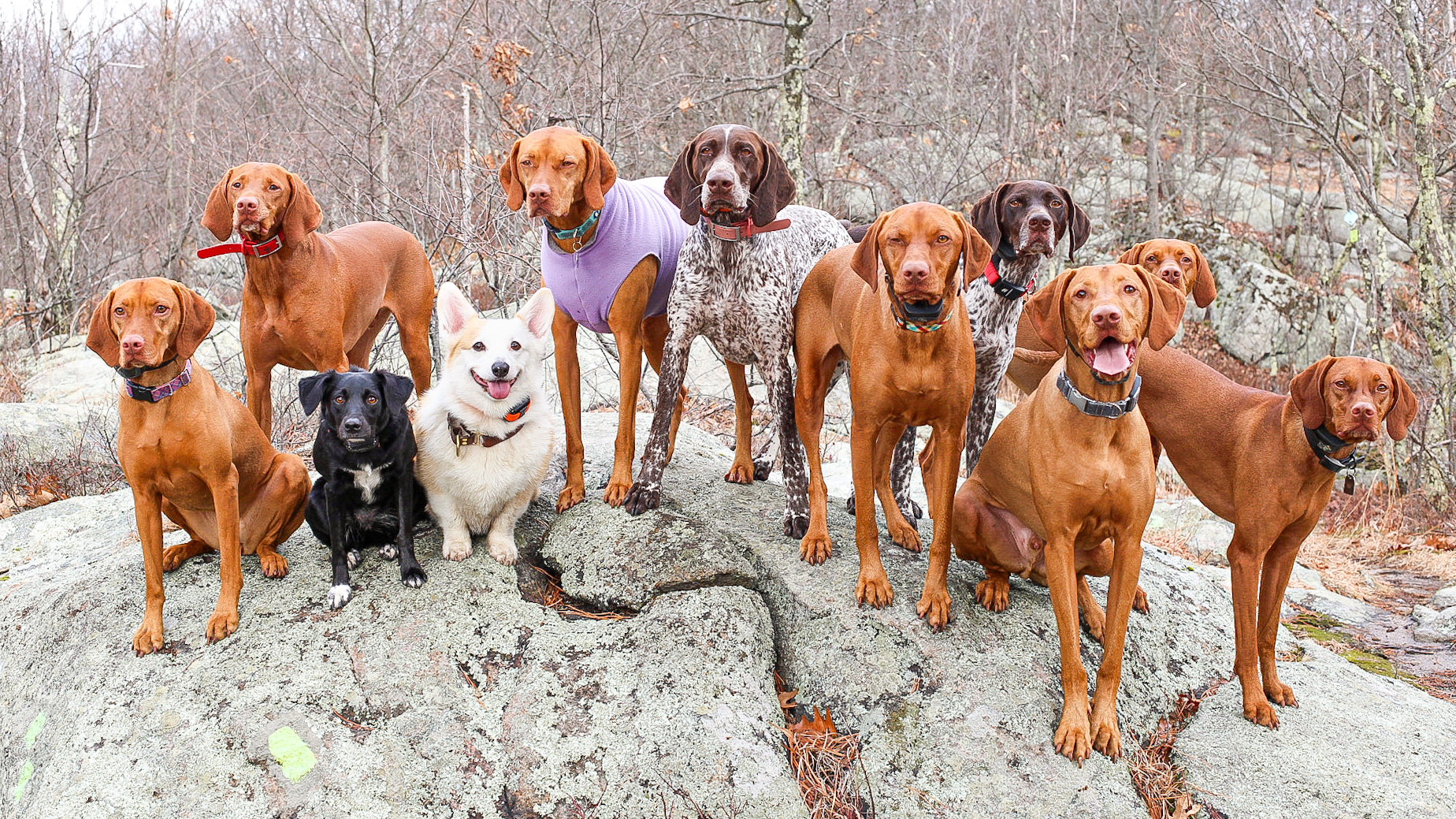 Cold day hike