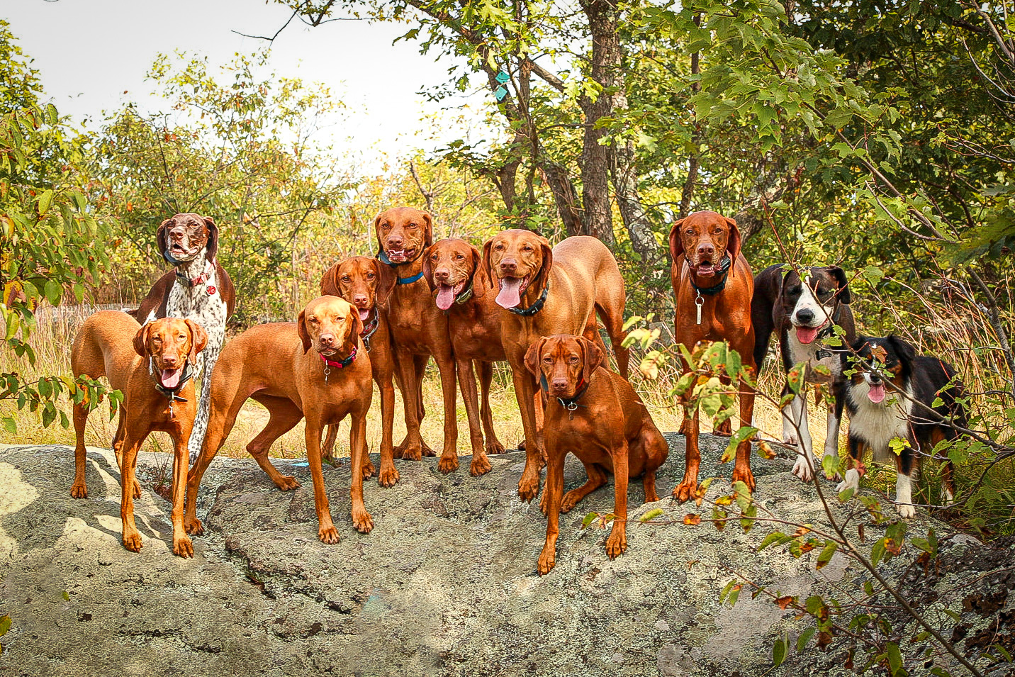 Autumn hike